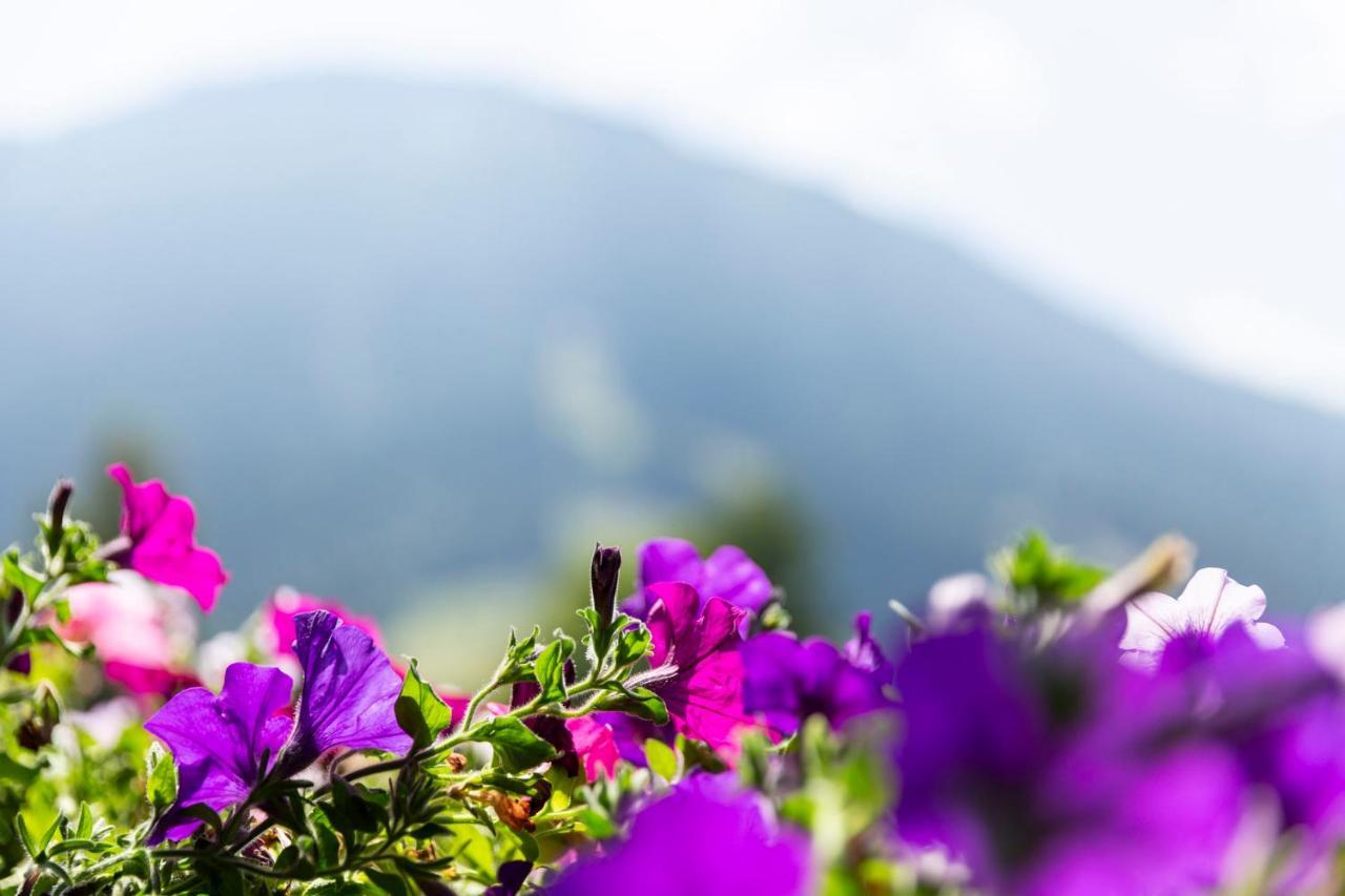 Hotel Garni Bergidyll - Adults Only Pfronten Zewnętrze zdjęcie